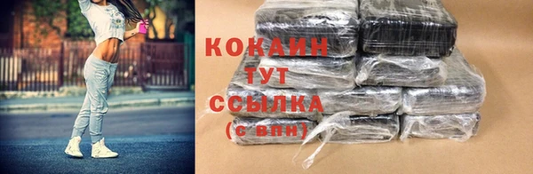 крисы Баксан