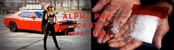 крисы Баксан