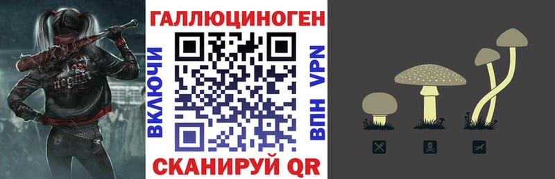 Псилоцибиновые грибы мухоморы  Новоржев 